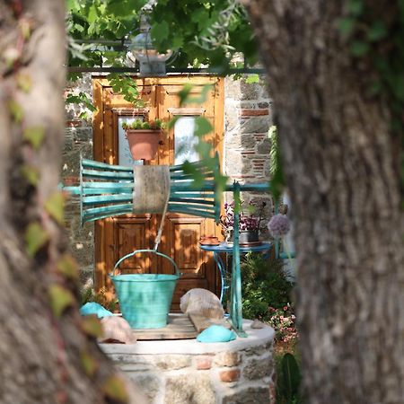 Studios Villa Eleni Platanias (Skiathos) Exterior foto