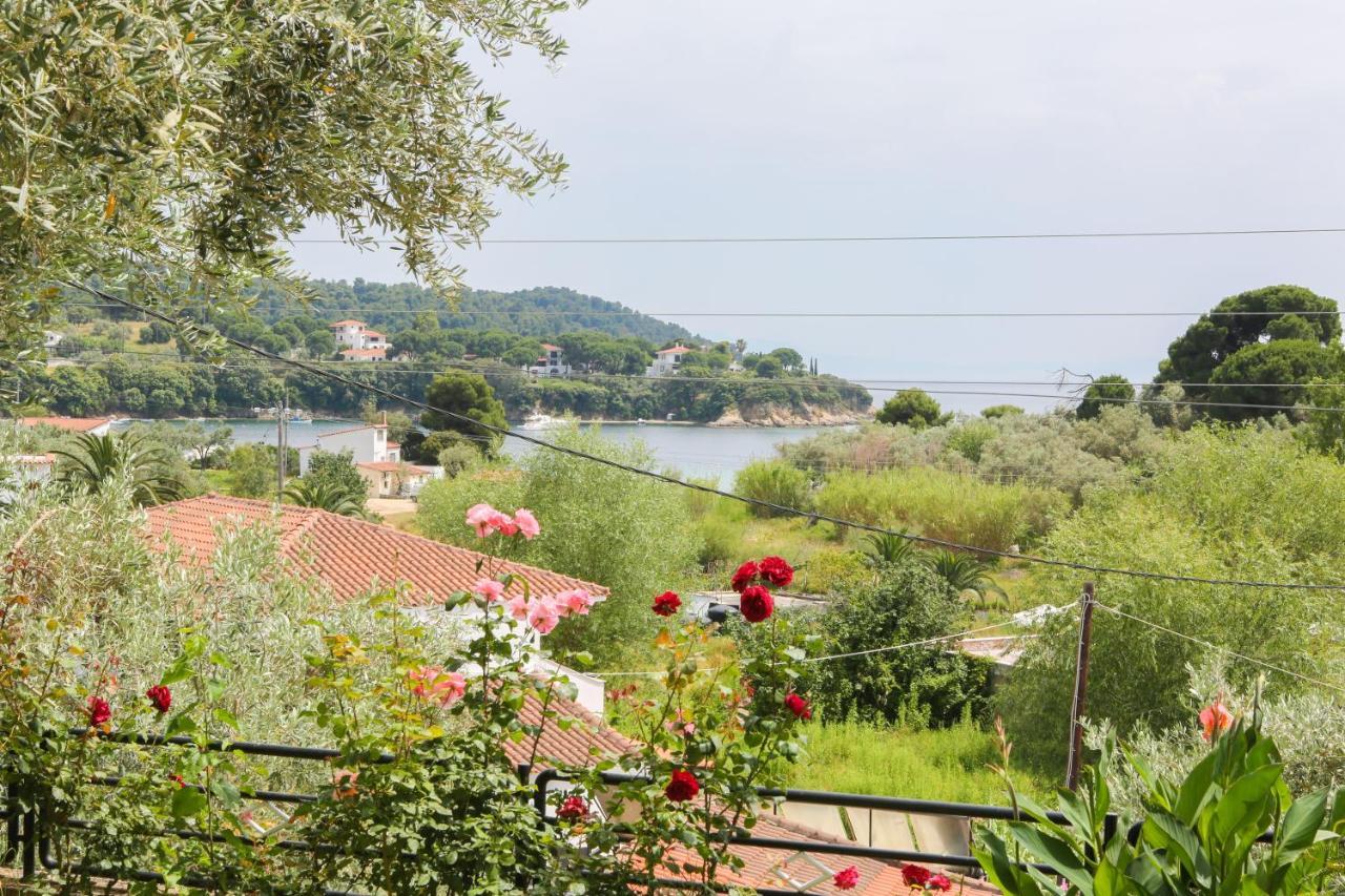 Studios Villa Eleni Platanias (Skiathos) Exterior foto